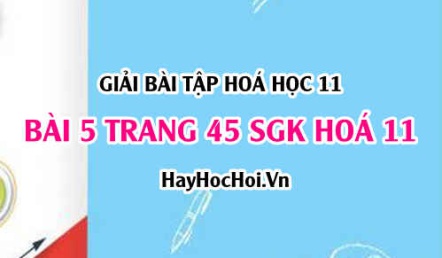 Giải bài 5 trang 45 SGK Hoá 11: Axit Nitric và muối Nitrat